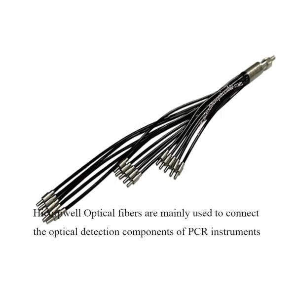Polymerase chain reaction (PCR) instruments PCR Optical fibers Connect the