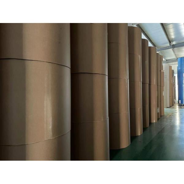 Factory Greaseproof Waterproof Single Double Wall PE Coated Kraft Paper Roll Food Grade Raw Material For Paper Cup