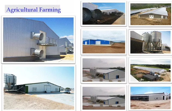 Hot Rolled / Welded Steel Structure Poultry House With Fire Resistant Panel Wall