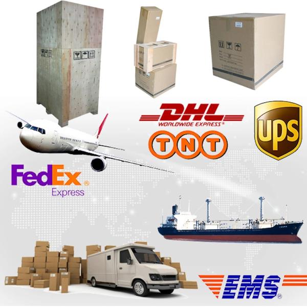 BV Approved Table Tennis Training Machine Random Balls Automatical Reload