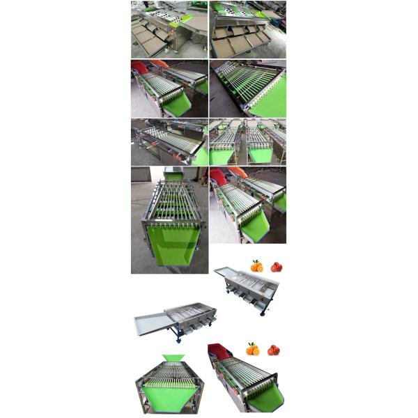 220v/380v Fruit Vegetable Processing Machine , Stainless Steel Apple Sorting Machine