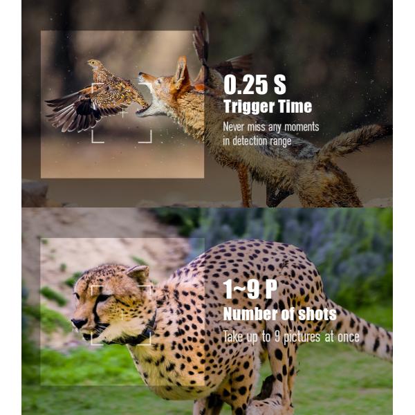 Infrared Hunting Camera 30MP1080P Dual-lens Game Cameras for Outdoor Wildlife Trap Waterproof 940nm IR Camera