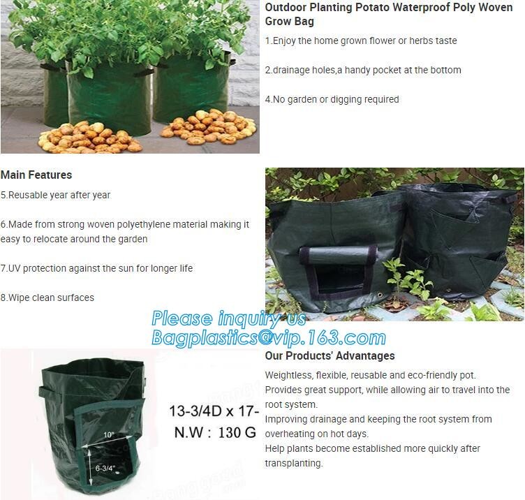 customized waterproof green pe car protector,environmental firendly, car boot liner, reusable, durable,economical,sample