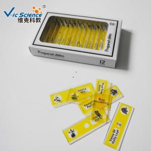 Buy cheap Children Plastic Prepared Microscope Slides 12pcs Plant Series VIC59 product
