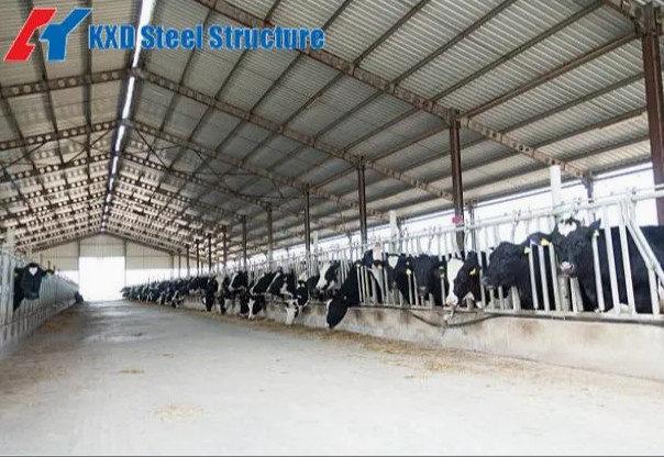 Steel Structure Prefab Poultry House Wind Resistant Pre Engineered Steel Cowshed