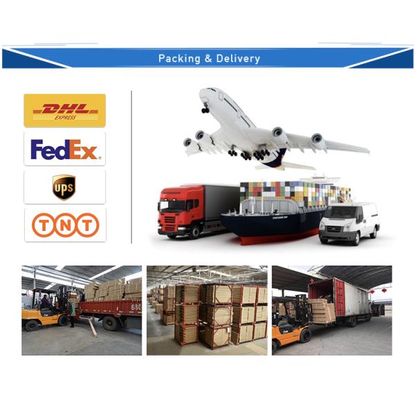 Logo Custom Made Neon Letter Signs Low Consumption for Wall