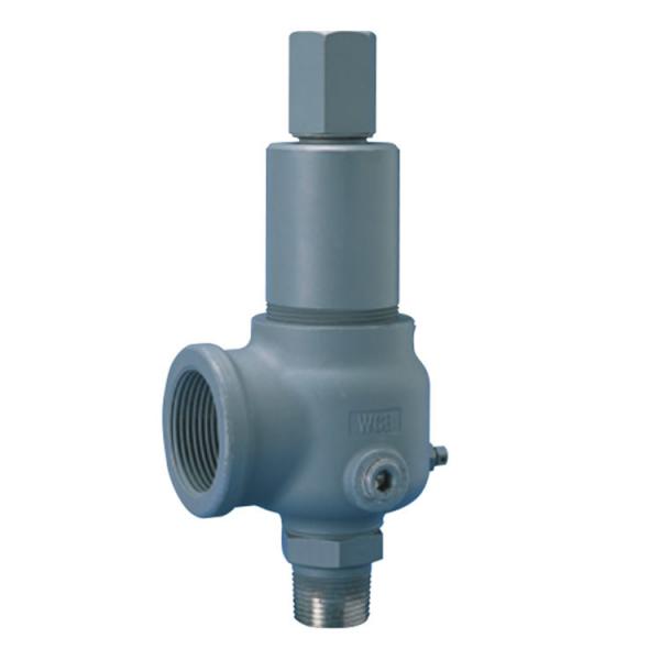 Quality 900 Series Safety relief valve  Threaded NPT, BSPT, flanged or Tri-clover for sale