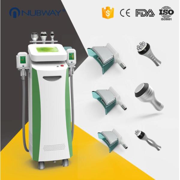 3 in 1 cryolipolysis cavitaion and RF with 5 handles cool sculpting cryolipolysis fat reduction slimming beautymachine