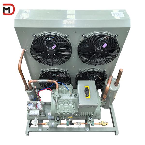 Industry Condensing Unit for Frequency Fan Cooling System Equipment For Cold