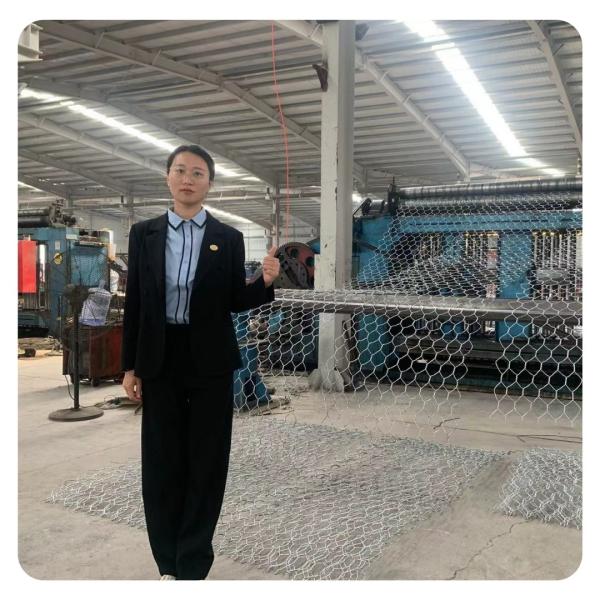 China Hexagonal Zinc Mattress Galvanized Wire Mesh Gabion Basket 1x1x1 on sale