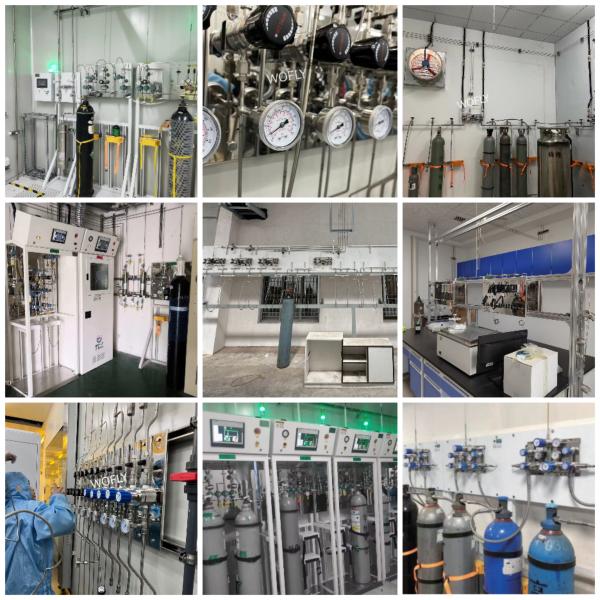 Gas Cylinder Flexible Metal Hose Pressure Rating Up To 3000 PSI With Cable