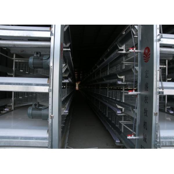 Professional Poultry Brooder Cages Poultry Keeping Machinery Silver Color