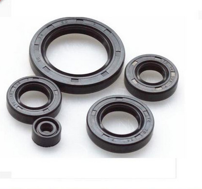 China Manufacturer with low price Mechanical TC Radial Oil Seal Steering seal rubber oil seal
