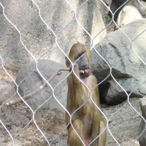 Anping high quantity SS Rope Wire Mesh