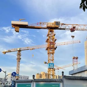 China Light Climbing Tower Crane Tower Crane Construction Works on sale