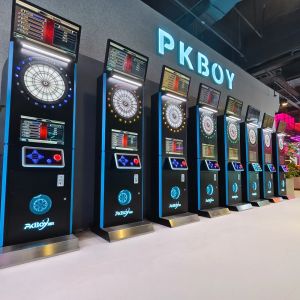 Recreation Digital Dart Game Sports Interactive Games ARCADE