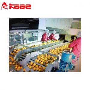 China Sorting Roller Conveyor Automatic Apple Grading Machine Roller Sorting Machine on sale