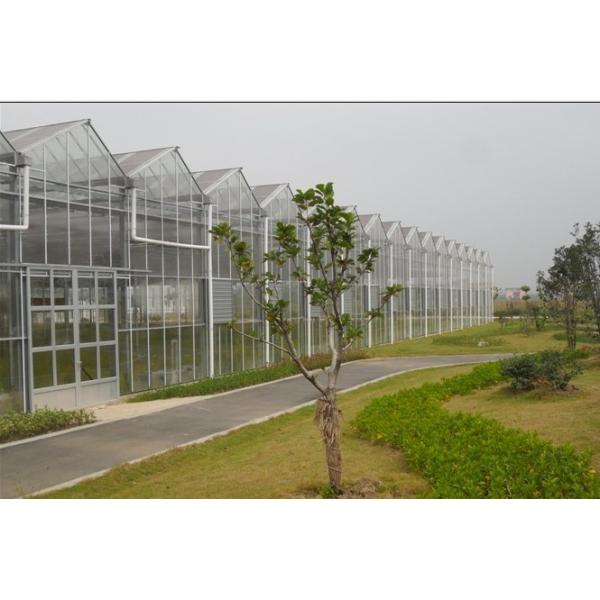 Galvanized Steel Horticultural Glass Greenhouse Waterproof Good Anti Corrosive Effect