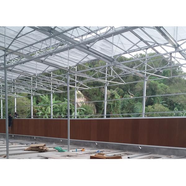 Energy Efficient Multi Functional PC Greenhouse With Seeding Bench - Suitable For Ornamental Plants In Any Climate