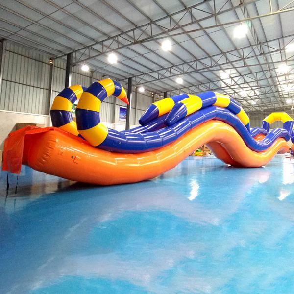 Quality Giant Inflatable Water Slide With Durable 0.9 mm PVC Tarpaulin for sale