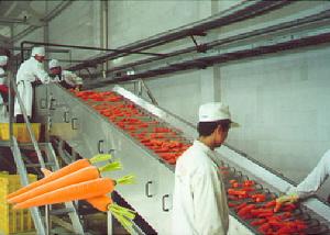 Buy cheap Professional Carrot Processing Plant / Fruit And Vegetable Processing Equipment product
