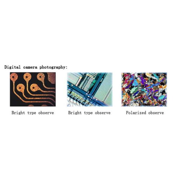 Polarizer Reflected Digital Metallurgical Microscope with Halogen Lamp and Large Stage