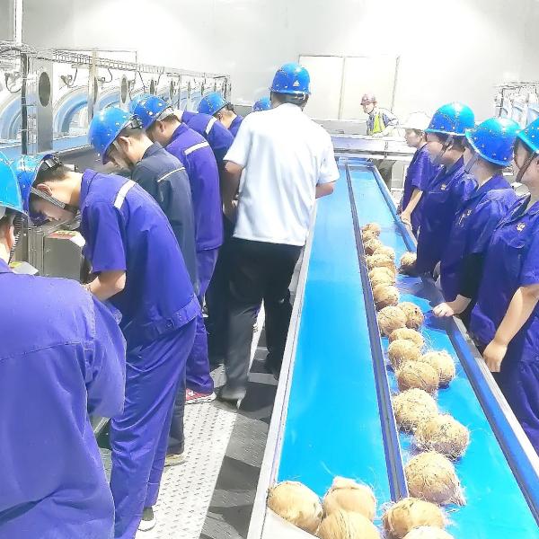 6000LPH Automatic Control Fruit Processing Equipment For Coconut Milk Drink