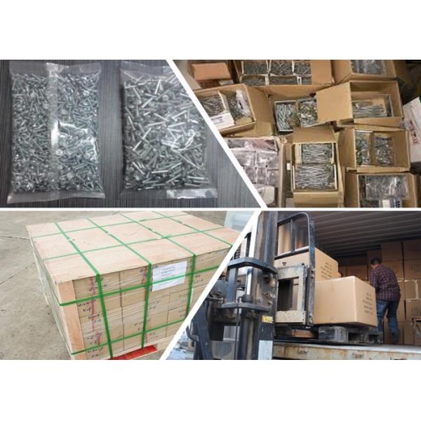 Thread Screw Manufacturer Custom M1 M6 Self Tapping Fasteners Screws