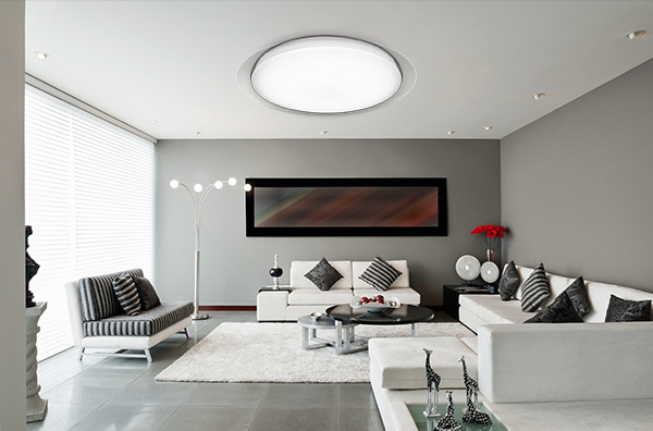 Remote Control Low Profile LED Ceiling Light Fixture With Smooth And Clean Appearance