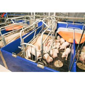 Buy cheap Steel Frame Piggery Shed Construction Long Span Steel Poultry Buildings product