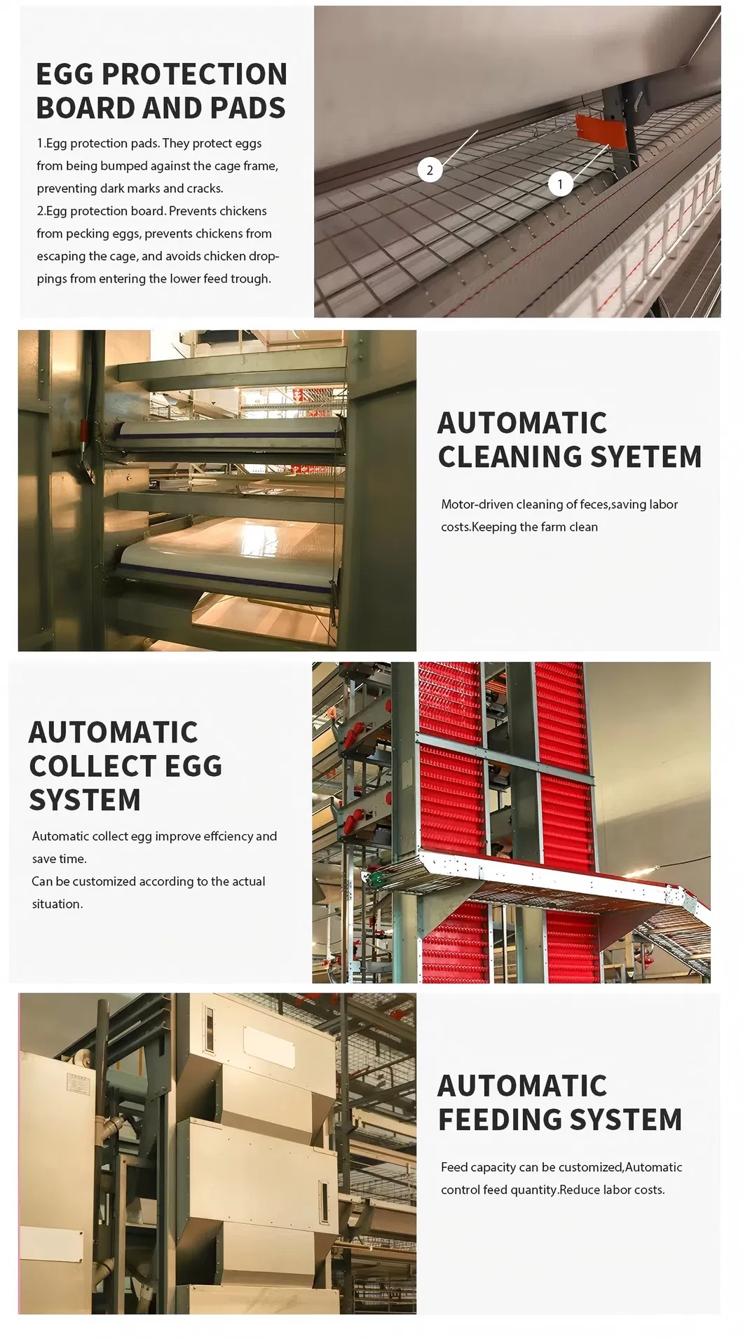 Stacked H Type Layer Cage Galvanized Constructed Automatic Layer Poultry Farm Cage