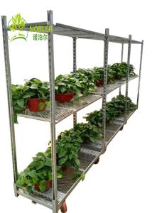 Buy cheap Versatile Stackable Cargo Shipping Container With Multiple Shelves product