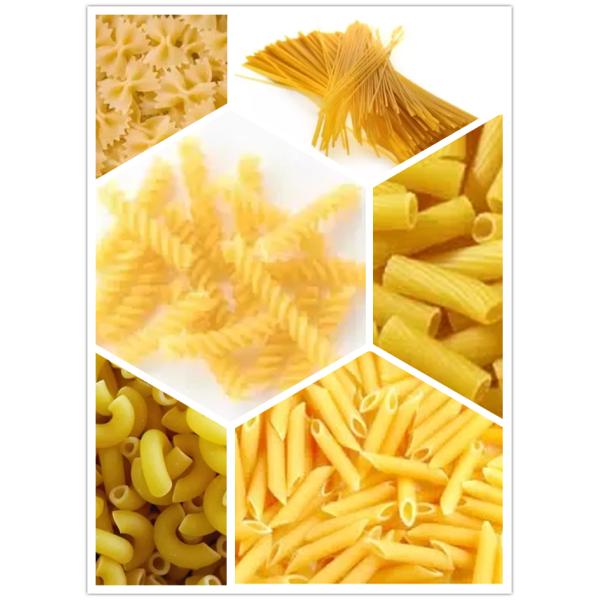 EN Standard Single Screw Food Extruder SS 304 Pasta Spaghetti Macaroni Machine