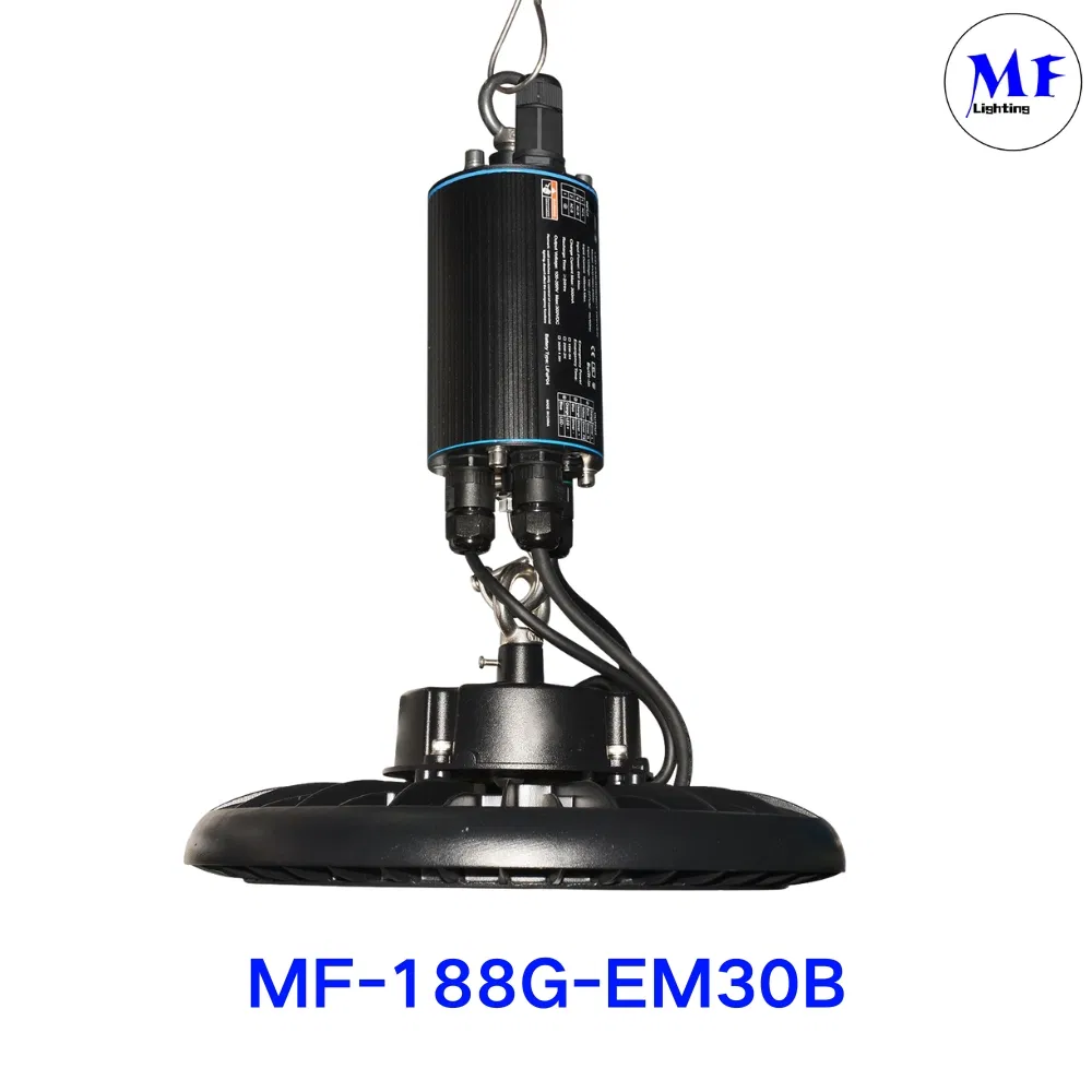 Factory Price 10W 100-277VAC UL924 CSA Li-ion Auto Test 5 Year Warranty Down Light Ceiling Light Panel Light Panic Light Ballast Powerpack for Emergency Case