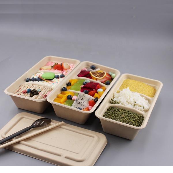Leak Proof Sugarcane Fiber Pulp Disposable Food Container Biodegradable