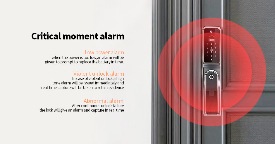 TH-103D Face recognitional Door Lock