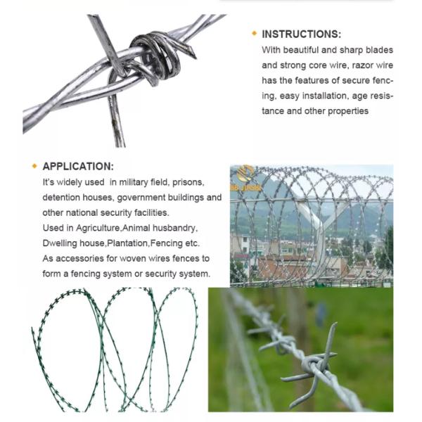 CBT 65 Razor Blade Wire Fence razor wire coil 0.5mm Thickness prison razor wire