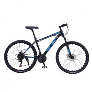 China Design Road Bicycle Dual Disc Brakes Bike Racing Mountain Bike with Ordinary Pedal on sale
