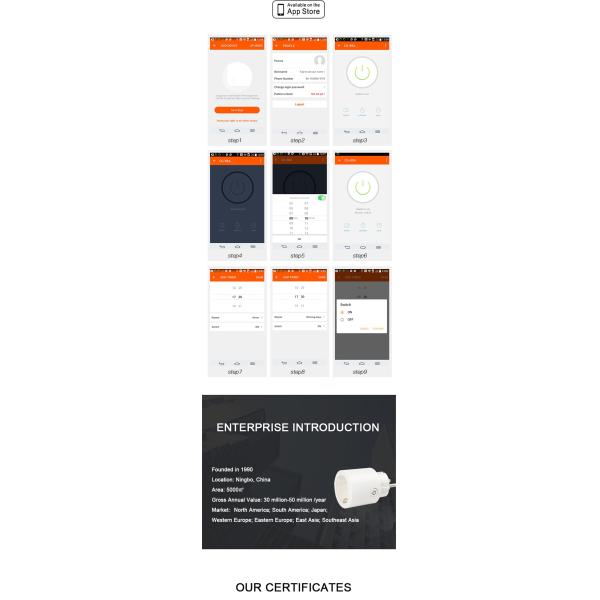 UK Smart Plug(WE-10)