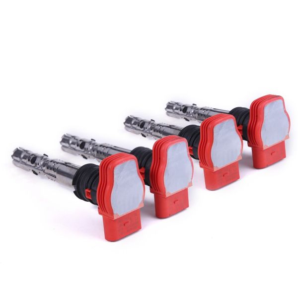 Germany Parts Ignition Coil for VW for Audis A4s A6s OEM 06C905115L