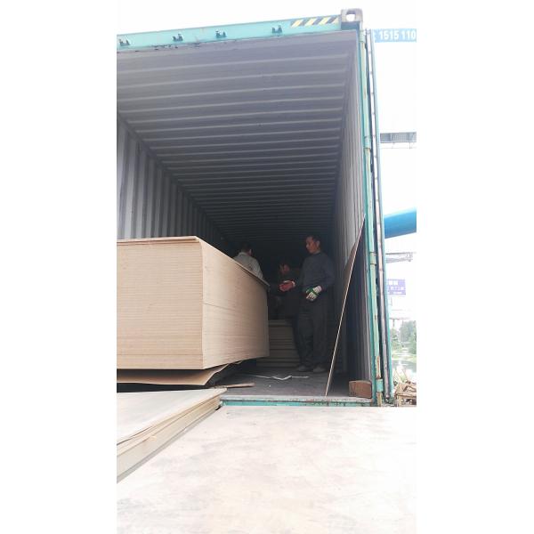 Indoor White Laminated Particle Board With Surface Finish Customized Thickness