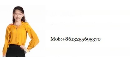 High Pressure Roots Blower NSK Bearing and Cast Iron Rotary Valve for Maximum Efficiency