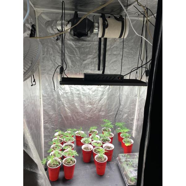 730nm 3000K 5000K 480W Led Grow Light 1248μmol/S Led Herb Grow Light