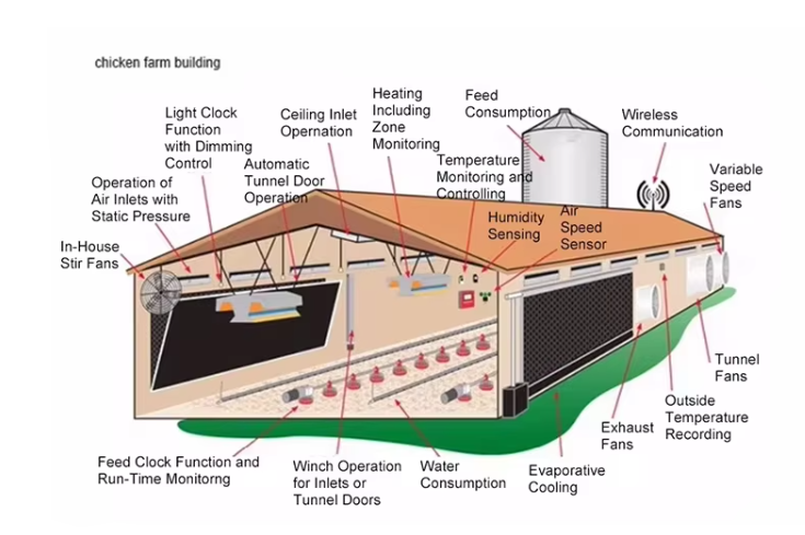 Corrosion Resistance Prefab Poultry House Light Steel Frame Fiberglass Wool Panel