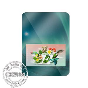 WiFi Loop Playback 1080x1920P Bathroom Mirror Screen