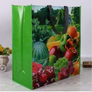 PP Woven Bag with Custom Logo Shopping Bag