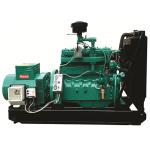 Electric Start Biogas Generator Equipment Customized Power Output