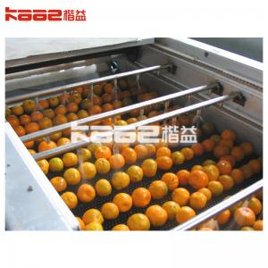 China Automatic Photoelectric Fruit Sorting System Equipment For Grading Of Fruits And Vegetables on sale