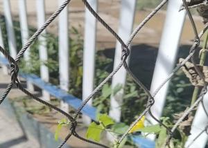 Buy cheap Horizontal SUS316 Wire Rope Trellis 200x200mm 3.2mm Steel Wire For Climbing Plants product