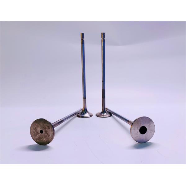 04303319 04303320 VOLVO Engine Valve Anti Corrosion For VOLVO D12D